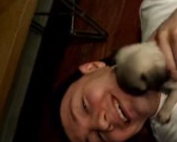 (VIDEO) Pug Puppy Attacks Her Daddy With Kisses All Over His Face. This Will Make Your Day!
