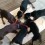 (VIDEO) Pinwheel of Puppies Are Hungry and Know Just How to Eat – LOL!