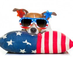 ATTENTION: Important 4th of July Tips You Should NEVER Ignore