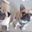 (VIDEO) A Pug and Frenchie Are BFF’s. But When They Want the Same Toy? Oh No, Not Frenemies!