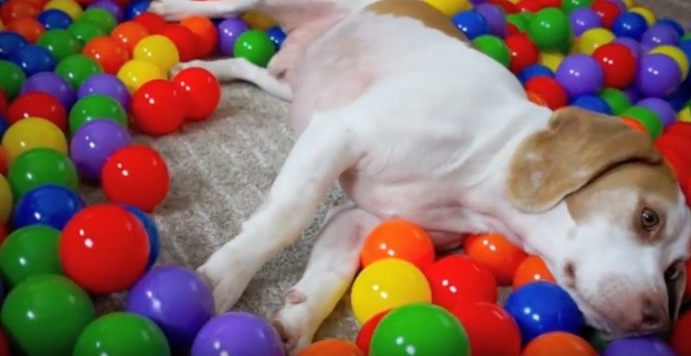 ball pit