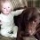 (VIDEO) Sweet Doggie is Spending Time With a Baby. When They Share a Precious Moment Together? Melt-Worthy!
