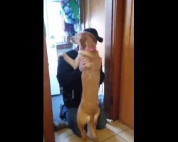 (VIDEO) This Doggie Hasn’t Seen His Owner in 2 Months. Now Watch Their Emotional Reunion!
