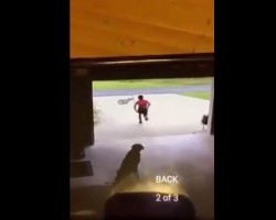 (VIDEO) Little Boy Caught Going into a Neighbor’s Garage to Quickly Give a Dog a Hug
