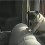 (VIDEO) This Puggy Just Wants to Chill Behind the Sofa. Now Watch What Happens to the Poor Little Guy…