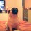 (VIDEO) Pug Decides to Have a Duet With His Toy and it’s the Funniest Thing! Be Prepared to Laugh!