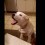 (VIDEO) This Dog is Having a Conversation With His Mom. When You Listen to What He Says? OMG, So Funny!