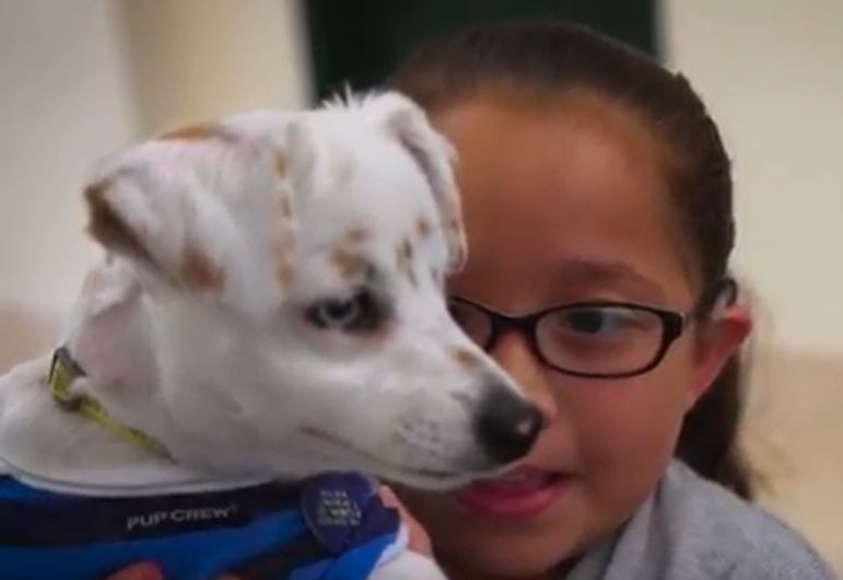 Deaf Girl and Dog