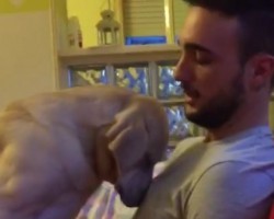 (VIDEO) This Doggie Is Feeling A LOT of Remorse. How She Asks for Forgiveness? Aww, Poor Baby!