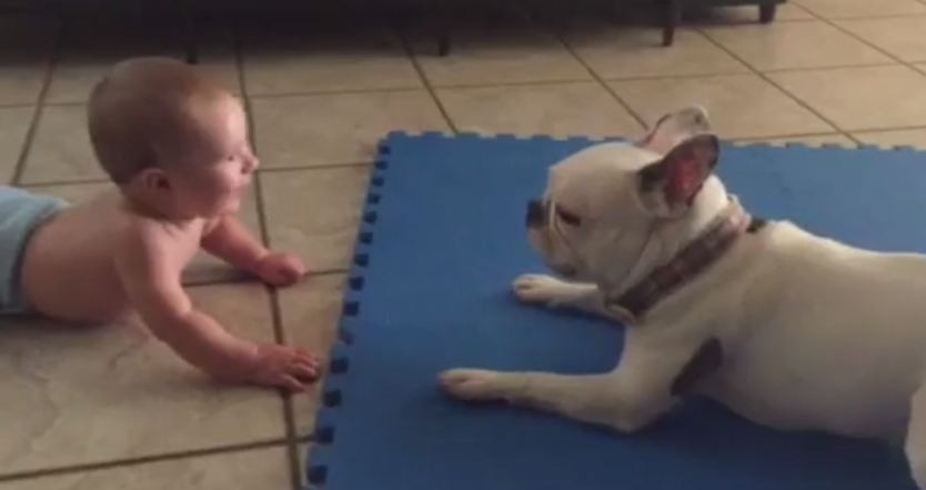 baby and frenchie