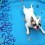 (VIDEO) This Frenchie Wants to Swim SO Badly That He Pretends He’s Swimming in an Empty Pool! LOL!