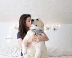 This Doggy is so Full of Love That He Entrusts His Dad Enough to Catch Him When He Falls Into His Arms!