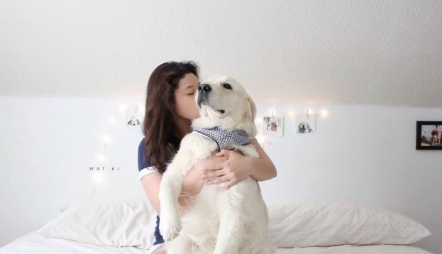 girl kissing dog