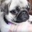 (VIDEO) This Pug Puppy Vlog Introducing You to a Pug Named Paisley Will Make You Smile!