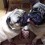 (VIDEO) This Pug Thinks His Pug Friend is Dirty. Now Watch the Cutest Bath in History Take Place!