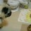 (VIDEO) Pug is Trained to Wait to Eat. When He Hears the Magic Word? OMG, This is Crazy!