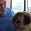 (Video) Dad Decides to Play a Kissing Game With His Pug. Now Watch This Sweet Kissing Match Commense!