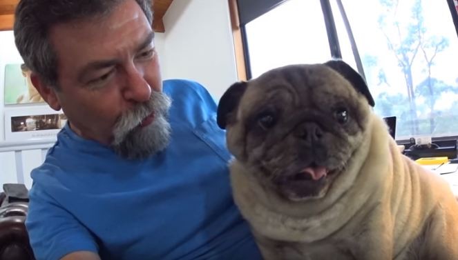 Barry and Pug kiss