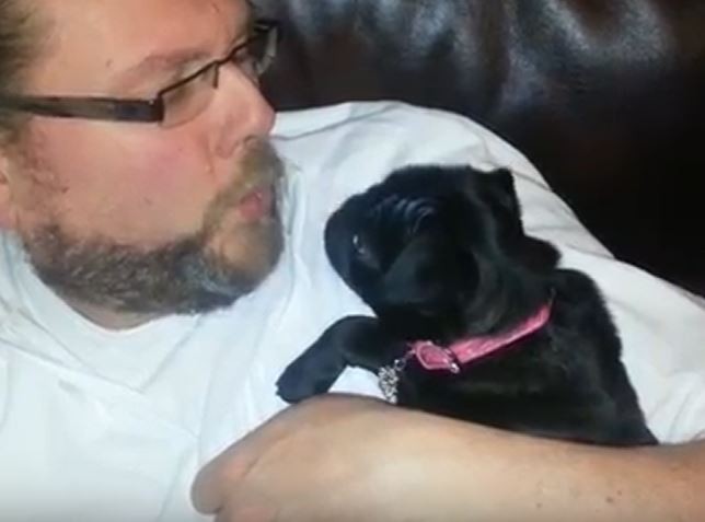 Dad blowing on Pug