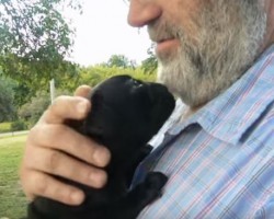(Video) Precious Baby Pug Loves Her Daddy. Now Watch That Sweet Face to See How She Shows Dad She Loves Him!