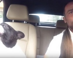 (Video) Listen to a Frenchie and Dad Sing Rhianna’s “Diamonds” – And Sound So Much Better!