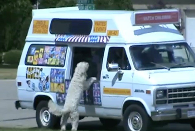 dog ice cream truck