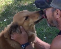 (Video) After Surviving 10 Days in the Woods Alone, This Dog Was Ecstatic to See Her Family