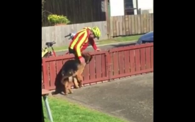 mailman greeting dog