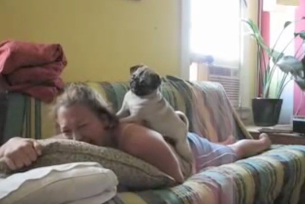 scared pug and mom