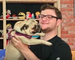 (Video) This YouTuber Opens His Mail. When He Gets a Pug? Their Interaction is Priceless!