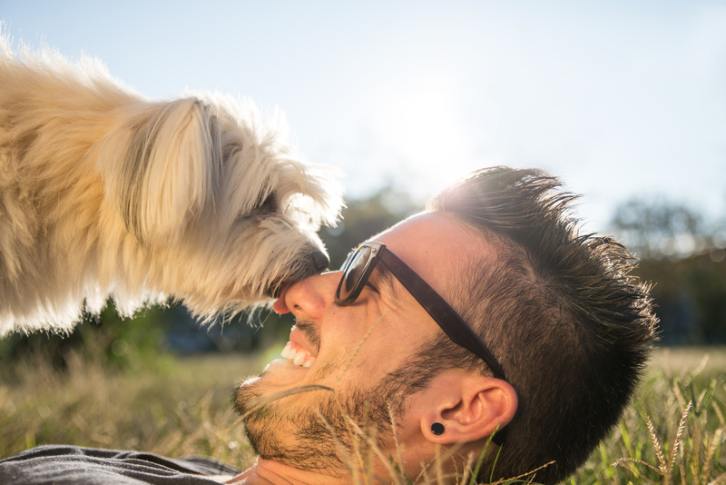 cute-dog-and-owner