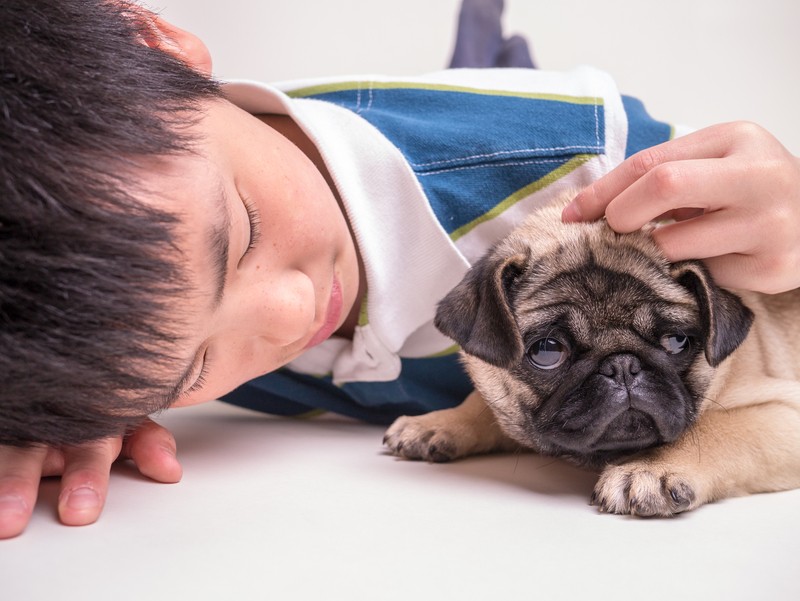 child with pug