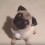 (Video) These Pugs Have Serious Pugtitude. OMG, the Pug at 2:00 is too Much! Ha ha!