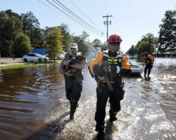 This Dog Was Left Behind During the Flood. Now Read About the Heartwarming Reunion.