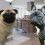 (Video) Pugs vs French Bulldogs. Check Out Their Intriguing Differences!