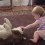 (Video) This Toddler Gives a Full Investigation of Her Doggy’s Teeth. Just How Patient the Dog Is? I Still Can’t Believe This!