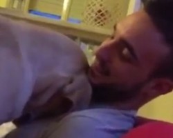 (Video) This Dog Asks His Dad for Forgiveness. How He Begs? I Can’t Even Over This Video!