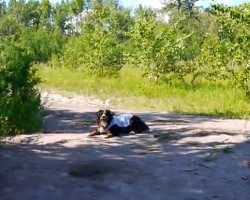(Video) This Dog is Given Full Reign of the Dog Park. His Response to Being Off Leash? Priceless!