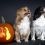 6 Pumpkin Carving Stencils of Favorite Doggie Breeds!