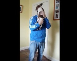 (Video) This Puppy REALLY Missed Dad. Just How Epic His Reaction is When He Returns Home? I’m Tearing Up!