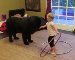 (Video) This Toddler Really Loves to Hula Hoop. When She Invites Her Furry Friend to Join Her? This is Priceless!
