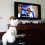 (Video) This Westie Loves Watching TV. Just How Intent She is on Watching THIS on the Screen? OMG!