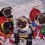 (Video) These Pugs in Halloween Costumes Are too Cute! Get Ready to be Inspired for This Spooktacular Holiday!
