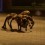 (Video) Using His Dressed Up Mutant Spider Dog, This Owner Freaks People Out During Halloween. OMG, This is Terrifying!