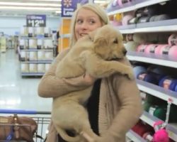 (Video) Cute Pup is Left Unattended in People’s Shopping Carts. How They React? Priceless!