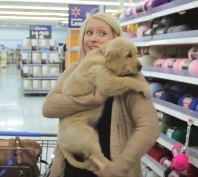 shopping-cart-pup