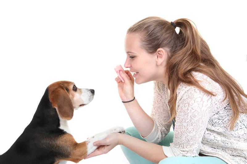 girl with dog