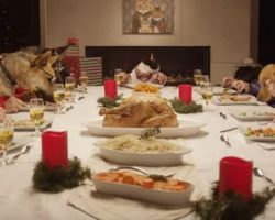 (Video) In This Hilarious Video, Watch Our Furry Friends Eat With Human Hands! No, We’re Not Joking!