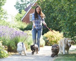 6 Outstanding Reasons Dogs Are Great for Our Health