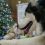 (Video) Twas the Night Before Christmas and This Siberian Husky is Sooo Excited!